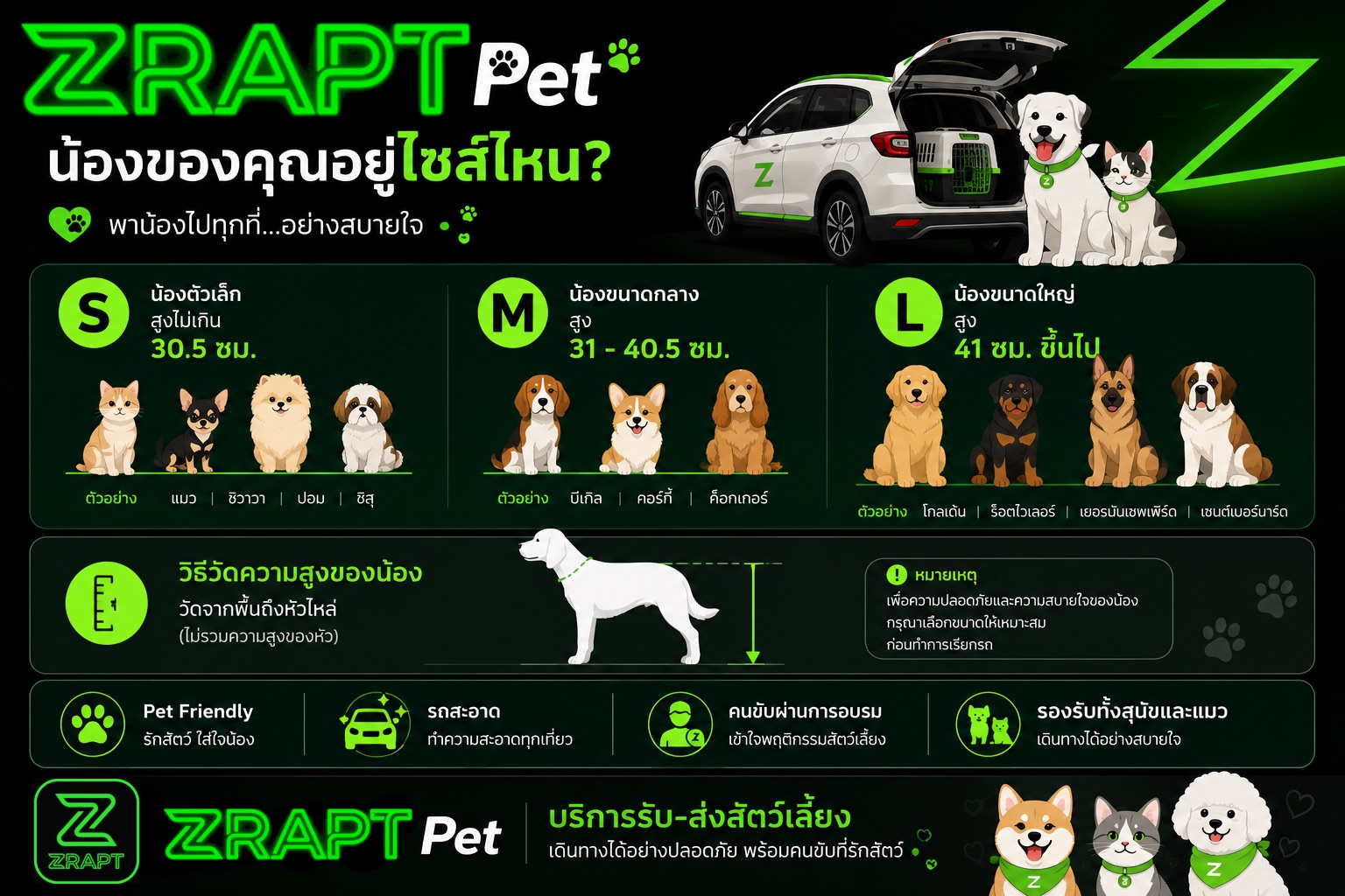 ตารางไซส์สัตว์เลี้ยง ZRAPT Pet — S ไม่เกิน 30.5 ซม. · M 31-40.5 ซม. · L 41 ซม. ขึ้นไป